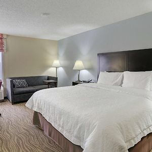 King Room Sofa Bed Hearing Accessible or Non-Smoking